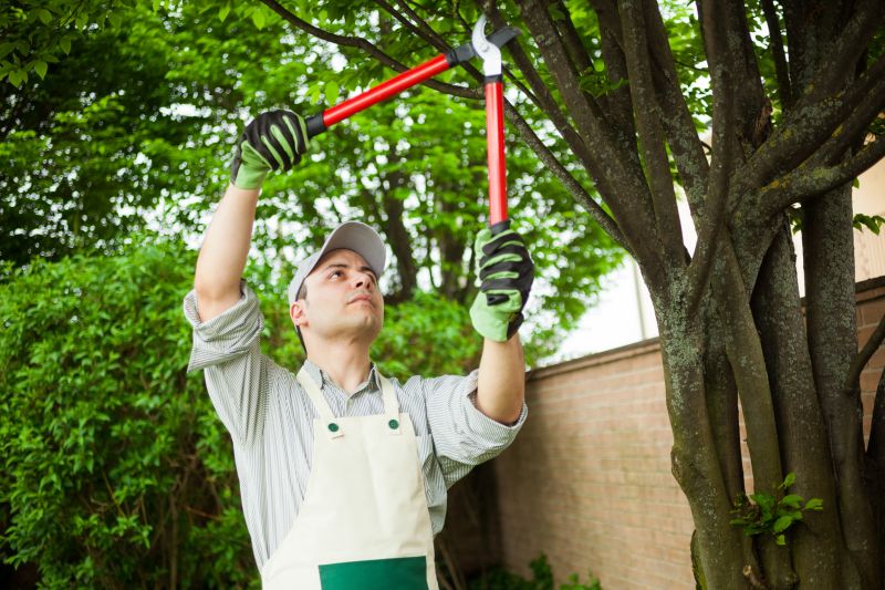 Safe Tree Pruning Techniques