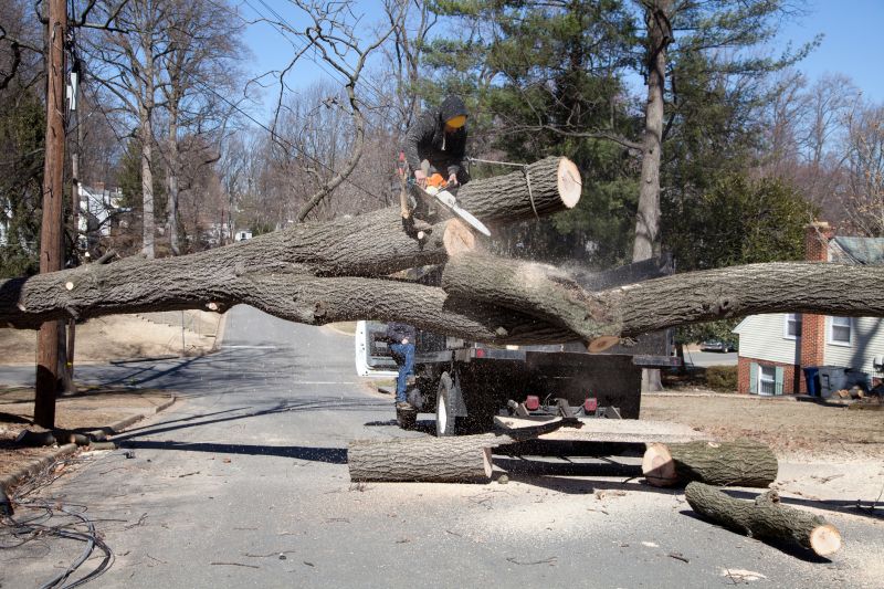 Emergency Tree Services