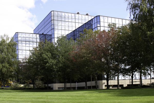 Commercial Tree Trimming in Charlotte